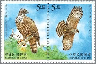 クマタカ（台湾、1998年）　台湾の猛禽類