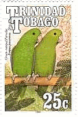  (英名: Green-rumped Parrotlet, 学名: Forpus passerinus)　トリニダード・トバゴ
