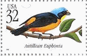 アンチル・フウキンチョウ（antillean euphonia）　米国