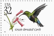 ウチワハチドり（Green-throated Carib、 Sericotes holosericeus）