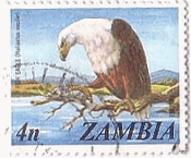 フィッシュイーグル（ザンビア、1975年）