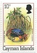 マングローブ蟹（mangrove crab、ｹｲﾏﾝ諸島、1980年）