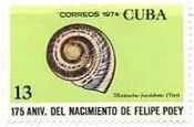 キューバ、1974年　貝　切手　Hemitrochus fuscolabiata 