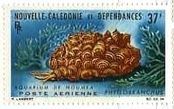 キマダラウロコウミウシ（Cyerce nigricans）ニューカレドニア　切手