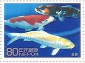 錦鯉（ニシキゴイ、日本、2008年）