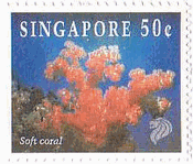 シンガポールのサンゴ（1994年）　軟質サンゴ（SoftCoral）
