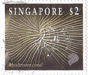 シンガポールのサンゴ（1994年）　マッシュルームサンゴ