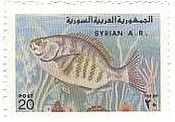シリアの色々な魚（1978年）