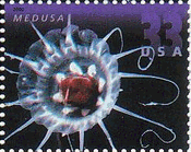 米国・深海の生物（２０００年）　クラゲ(medusa、jellyfish)