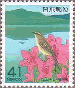 福岡・松延堤と砥上岳、鶯、躑躅　花　鳥　池