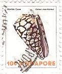 シンガポールの貝（1977年）　ナンヨウクロミナシ（Marble cone）