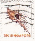 シンガポールの貝（1977年）　ナンヨウクロミナシ（Marble cone）/ベニヤカタガイ（amplustre bubble）/ マツカワ貝（ winged frog shell）/アクキガイ (アッキガイ、Troschel's Murex) 