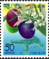 オリーブの果実と小豆島(香川､2002)