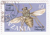ツェツェバエ(Tsetse Fly)　タンザニア