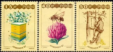 第３１回養蜂会議・ワルシャワ　女王蜂、働蜂、雄ミツバチ(Drone）、養蜂箱、蜜の採取（ゲンゲ）、養蜂家