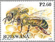 ミツバチとミツバチの生態（ボツワナ、2010年）
