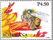 ミツバチとミツバチの生態（ボツワナ、2010年）