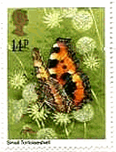 コヒオドシ（イギリス、1981年）　蝶