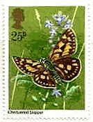タカネキマダラセセリ　蝶