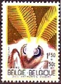 ウシアブ（Tabanus bromius、OX　fly）　ベルギー、1971年