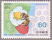 イチゴとミツバチ（日本、1985年）