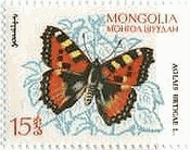 モンゴルの蝶　コヒオドシ（Aglais urticae）