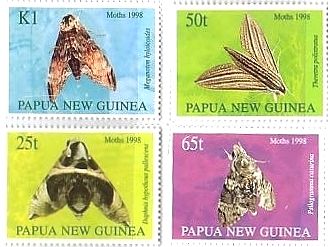 パプアニューギニアの蝶
