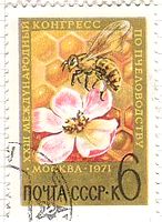 果樹の花とミツバチ（ソ連）　昆虫