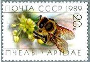 ミツバチ　オスバチ(5k)、ハタラキバチと巣箱(10k)、蜜採集(20k)、女王バチとオスバチ(35k)　ロシア 1989