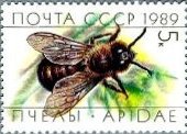 ミツバチ　オスバチ(5k)、ハタラキバチと巣箱(10k)、蜜採集(20k)、女王バチとオスバチ(35k)　ロシア 1989