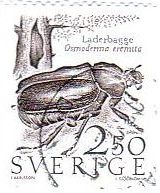 ヨーロッパオオチャイロハナムグリ（スウェーデン、１９８７年）