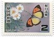 メスシロキチョウ（台湾、1978年）　Ixias venilia venilia 