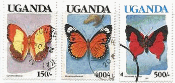 ウガンダの蝶　ベッカーキイロタテハ（Cymothoe beckeri）、シジミチョウ科の一種（Mimacraea marshalli）、アマンガエグリアカシジミ（Axiocerses amanga）