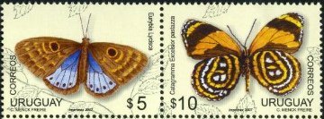 蝶　Eurybia Lycisca、Catagramma Excelsior Pastazza、Agrias Claudina、Marpesia Marcella（ウルグアイ、2007年） 