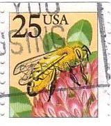 ミツバチ(USA、1988年）
