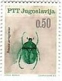 1966年、ユーゴスラビアで発行された昆虫　ミドリハナムグリ（Potosia aeruginosa）