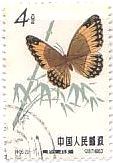 切手　昆虫　チョウ　蝶　中国　