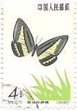 切手　昆虫　チョウ　蝶　中国　ジャノメ