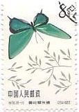 切手　昆虫　チョウ　蝶　中国　シジミ