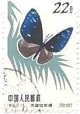 切手　昆虫　チョウ　蝶　中国　ルリ　マダラ