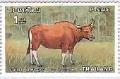 タイ　野生牛　バンテン