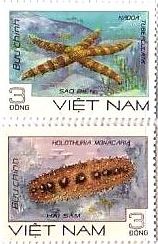 ヒトデ　なまこ　ナマコ　切手　ベトナム　Nardoa tuberculata、フジナマコ（Holothuria monacaria）