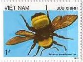 北ベトナム　昆虫　蜂　アメリカマルハナバチ（Bombus americanorum）　切手