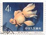 切手　魚　金魚　中国　シロフサ