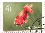 切手　魚　金魚　中国　ランチュウ