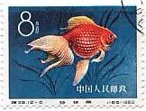 切手　魚　金魚　中国　リュウキン