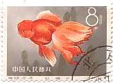 切手　魚　金魚　中国　オランダシシガシラ