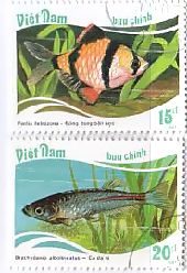 魚切手　熱帯魚　ベトナム