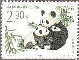 中国のパンダの親子と笹
