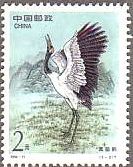 切手　鳥　鶴　中国